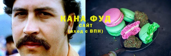 тгк Абаза