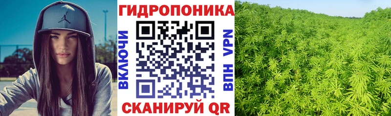 Канабис семена  Яровое 